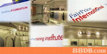 bigfish design ltd 多元品牌與網(wǎng)站設計服務的領航者