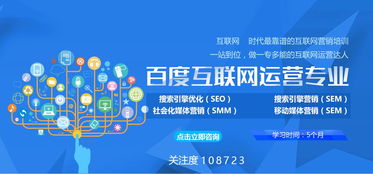 企業網絡服務 分類與應用全解析