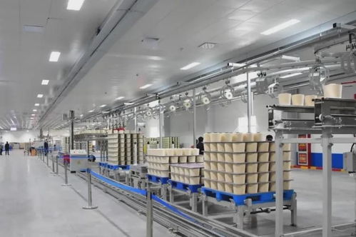 市場寒冬中的破局之道 優勢企業如何以管理創新逆勢圈粉